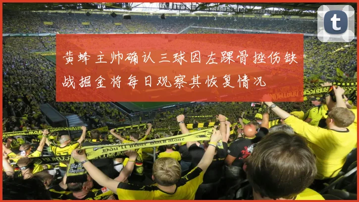 黄蜂主帅确认三球因左踝骨挫伤缺战掘金将每日观察其恢复情况