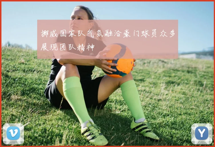 挪威国家队气氛融洽豪门球员众多展现团队精神